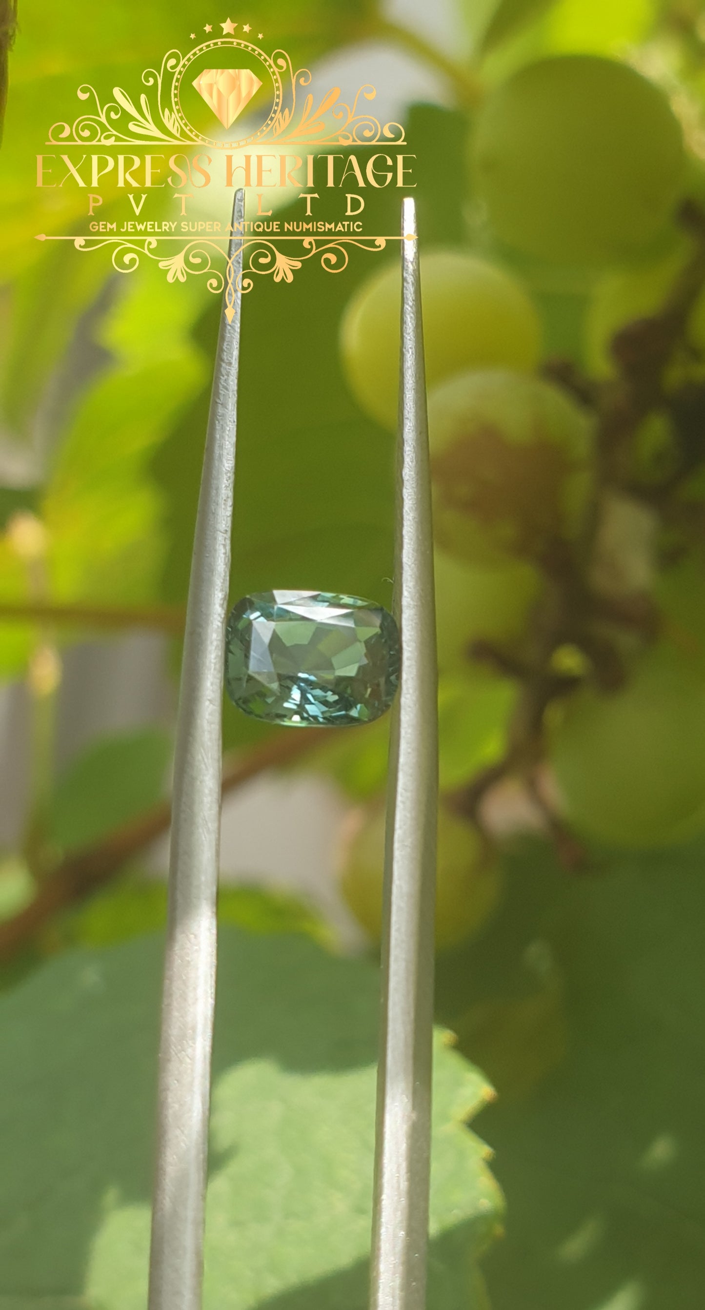 Teal Sapphire | Blue-Green Sapphire |Gemstone | Jewelry