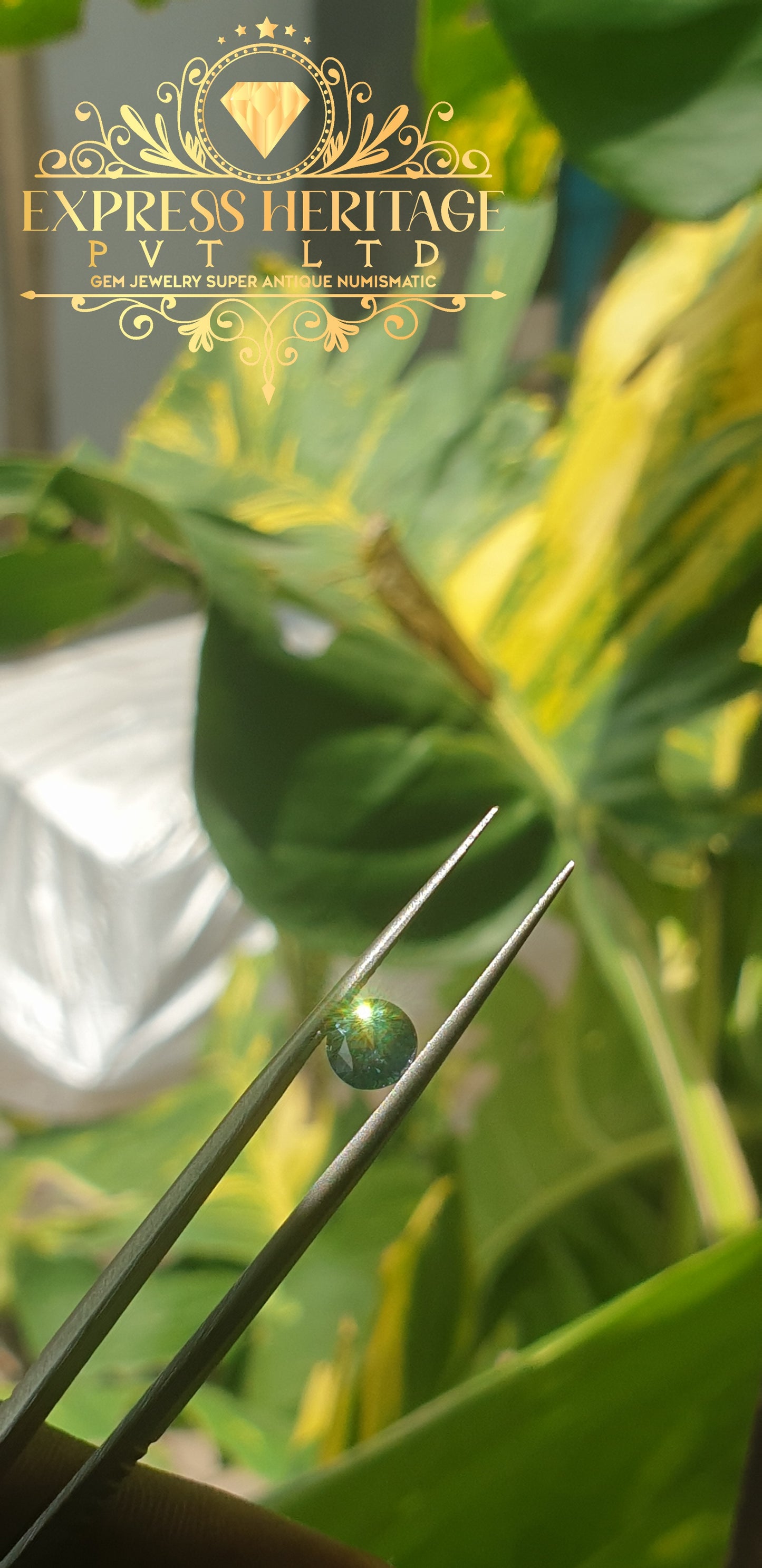 Natural Blue-Green Teal Sapphire – 1.70 ct (EH1056)