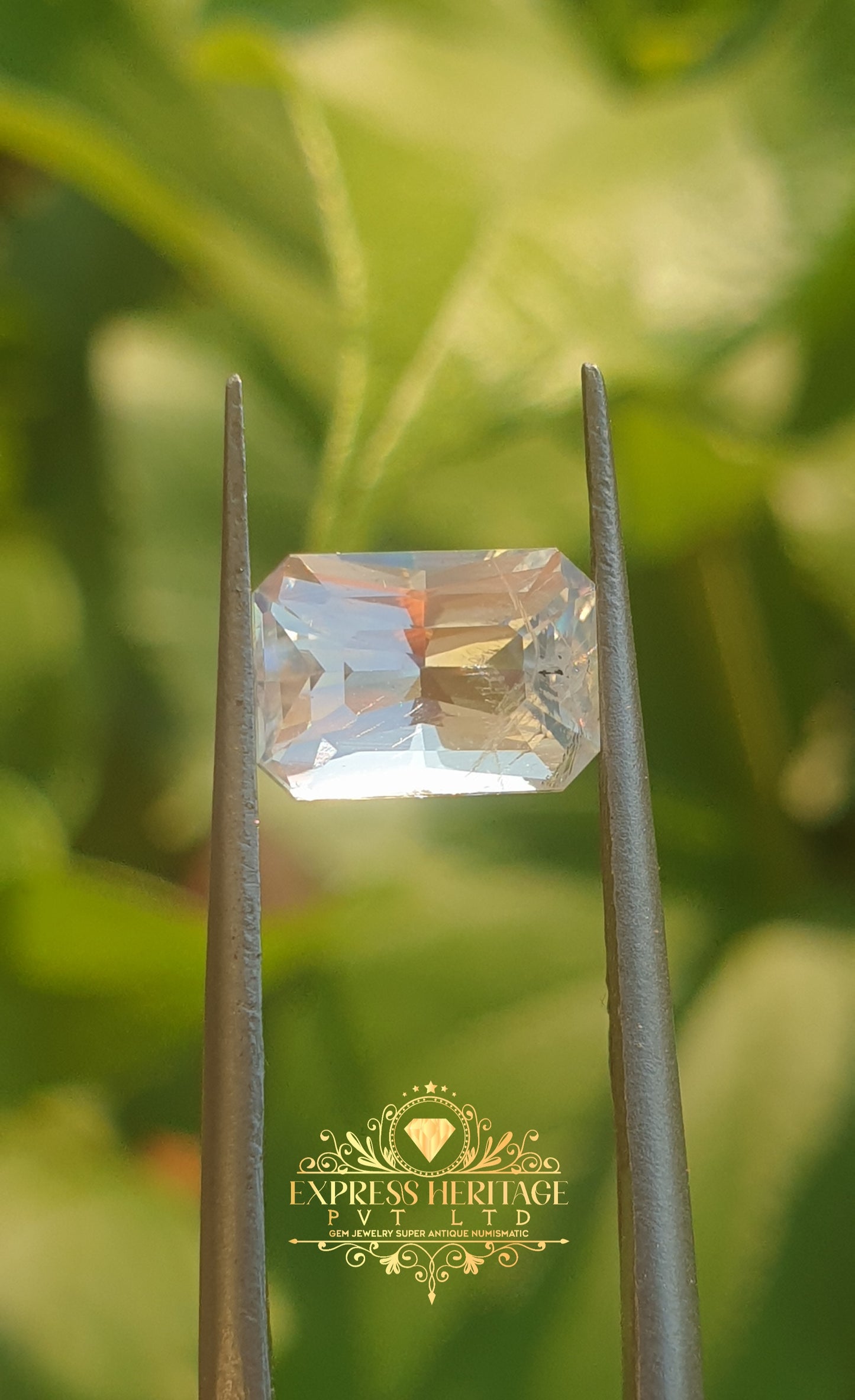 Rear Rainbow Moonstone 1.520 ct Multicolored