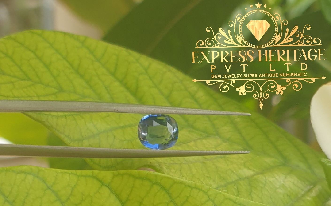 Blue Sapphir 1.6ct No heat