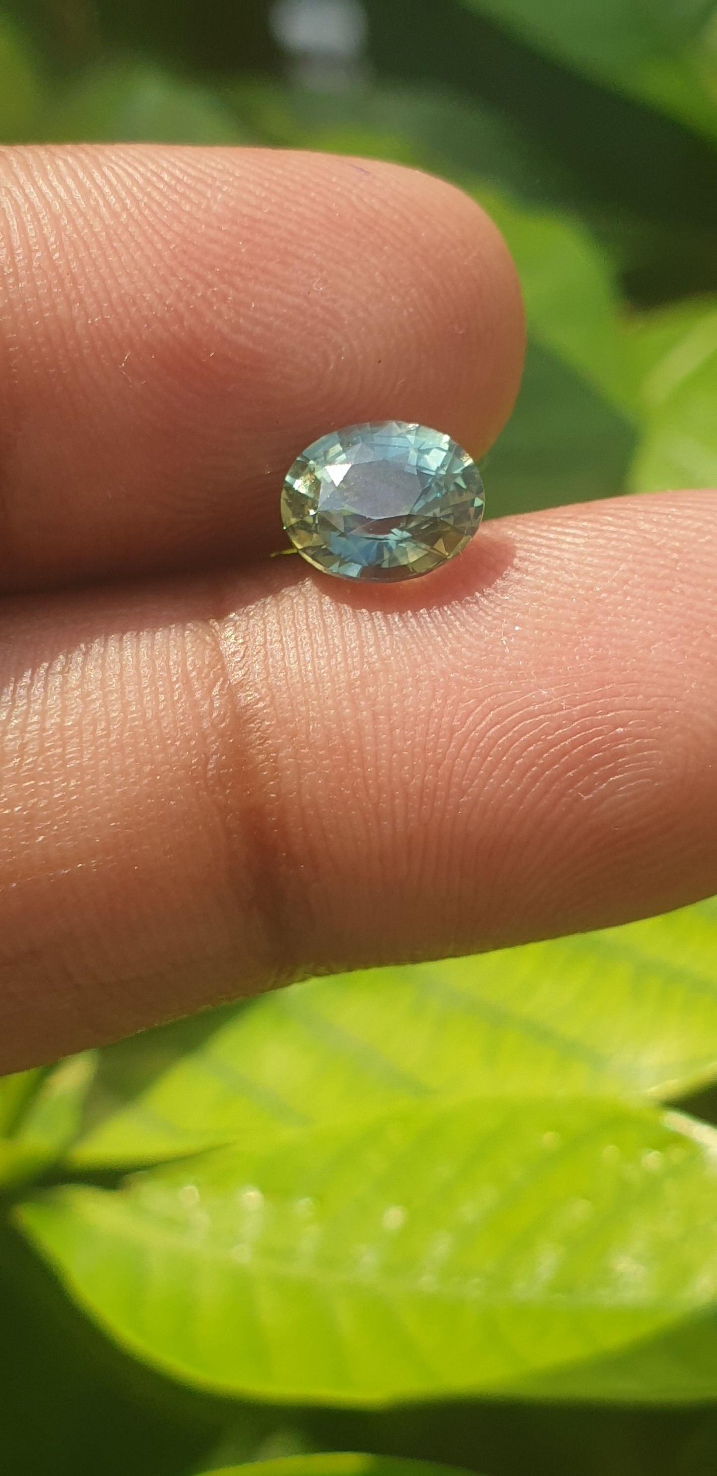 Tel Sapphir 1.445ct