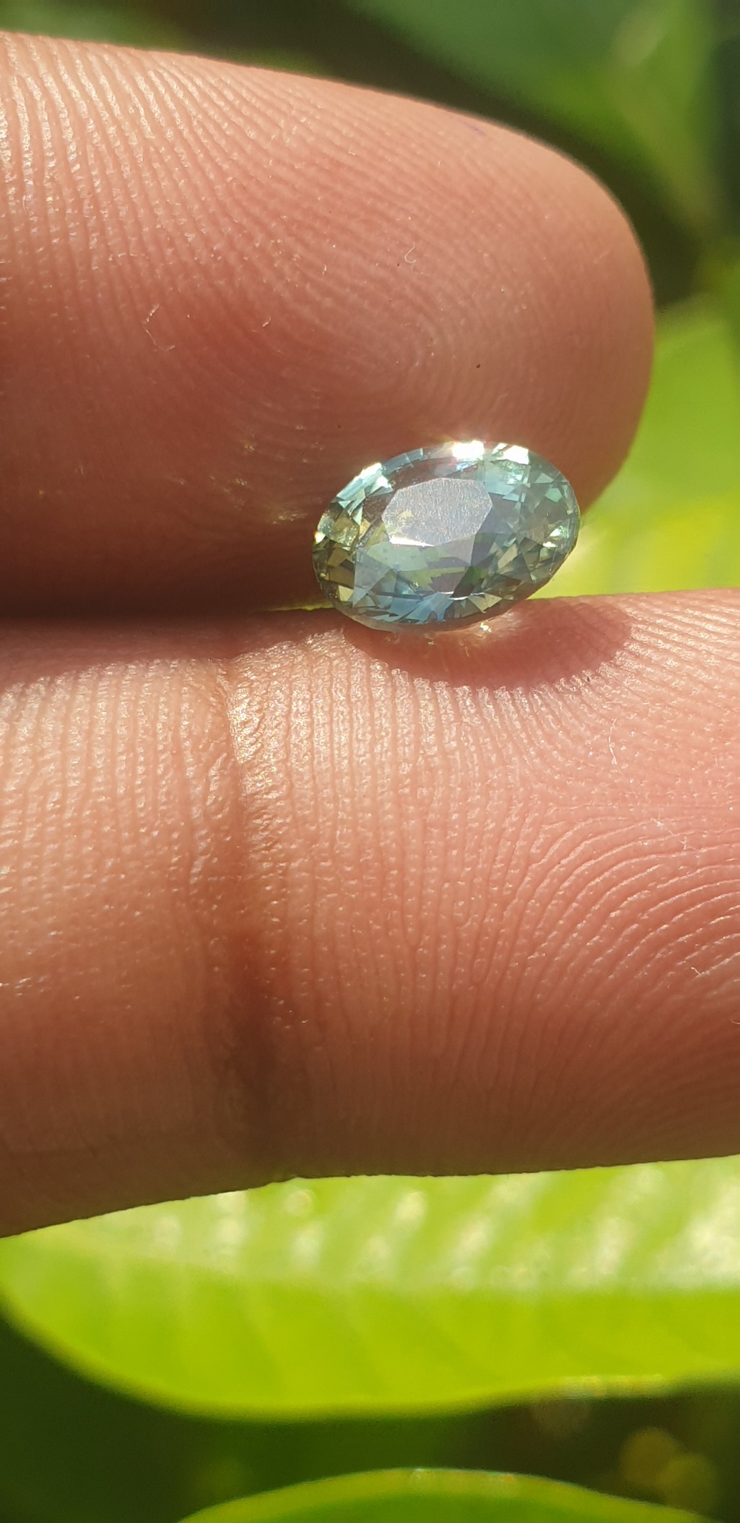 Tel Sapphir 1.445ct