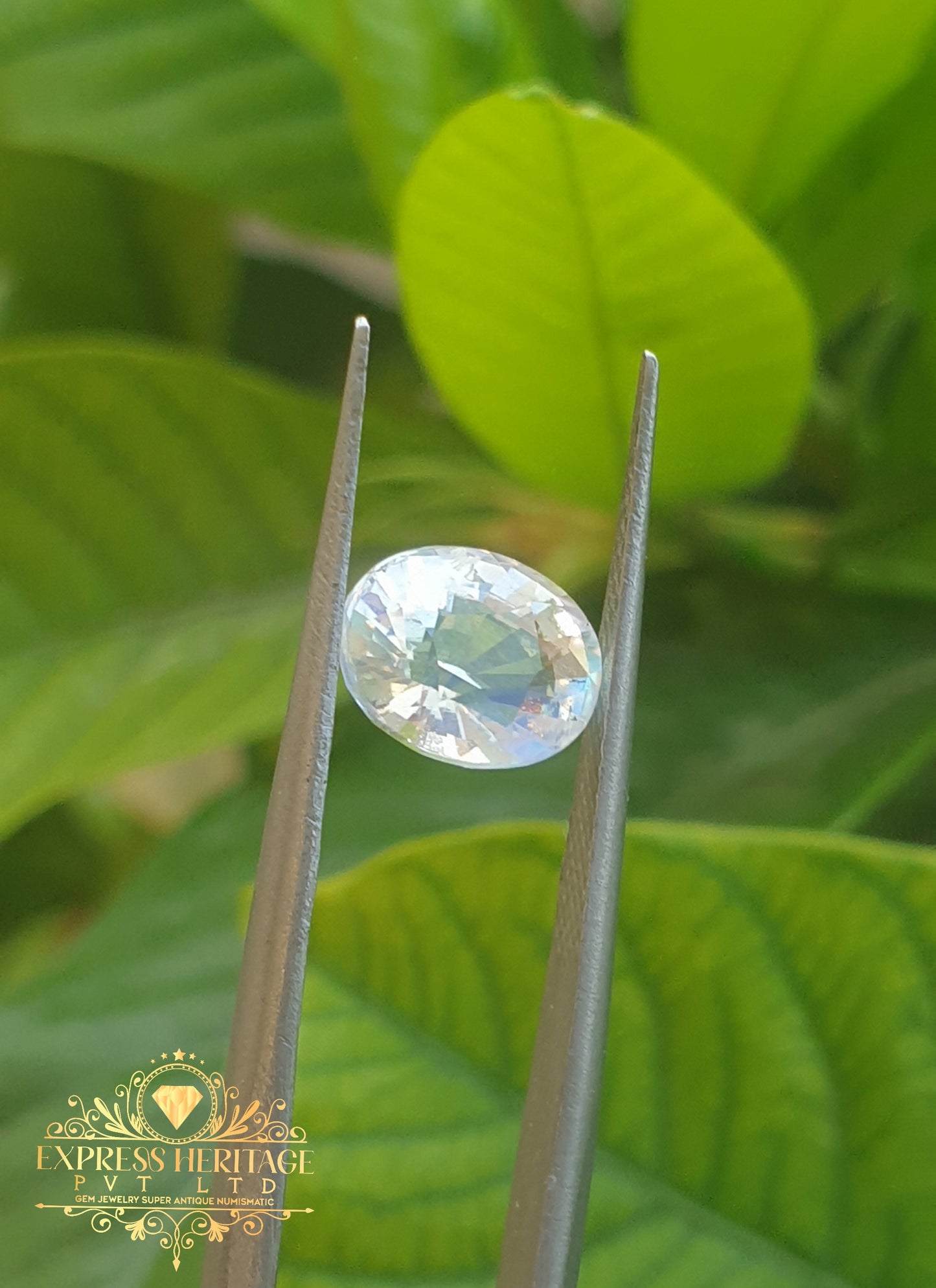 Rear Rainbow Moonstone 1.625ct