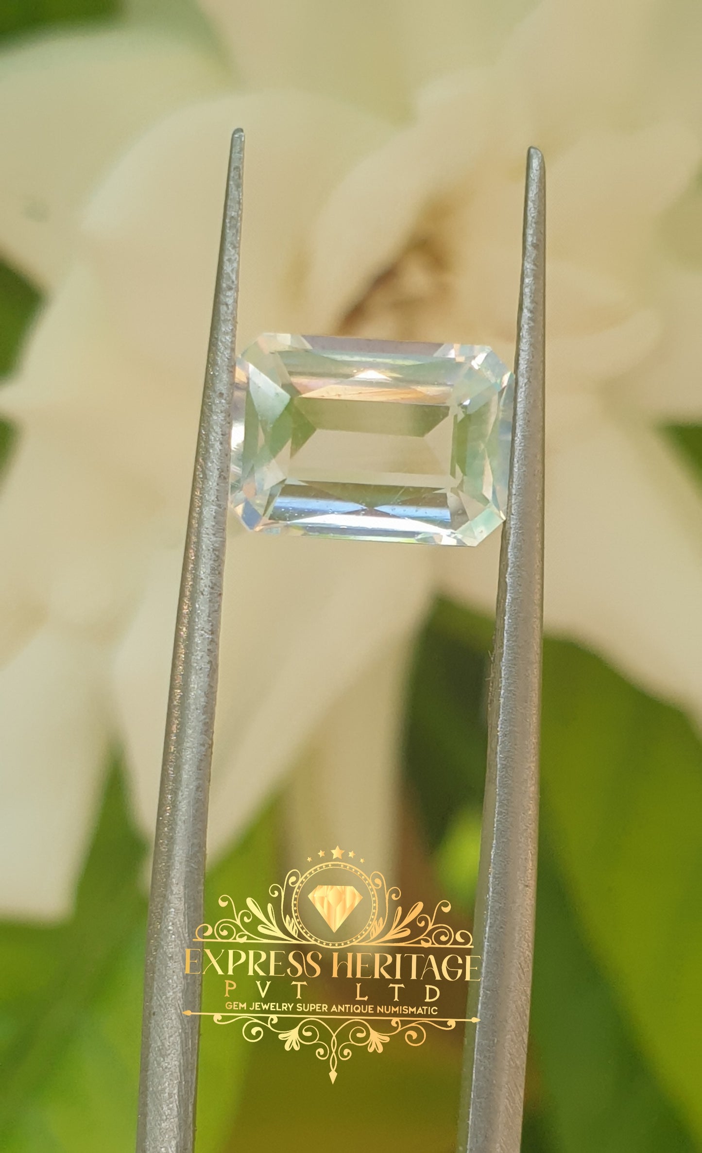 Rear Rainbow Moonstone 🌈 Multicolor Glowing