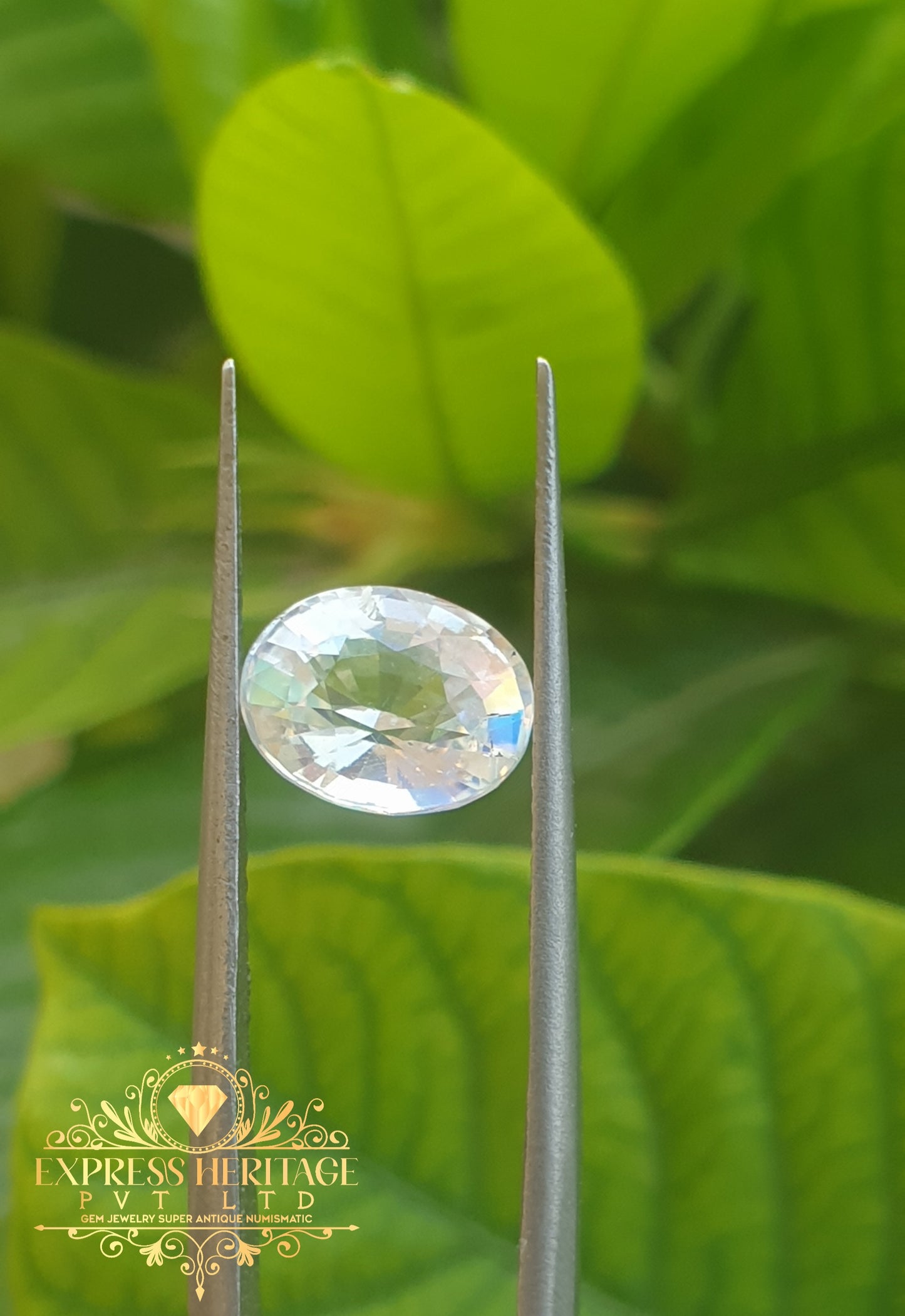 Rear Rainbow Moonstone 1.625ct