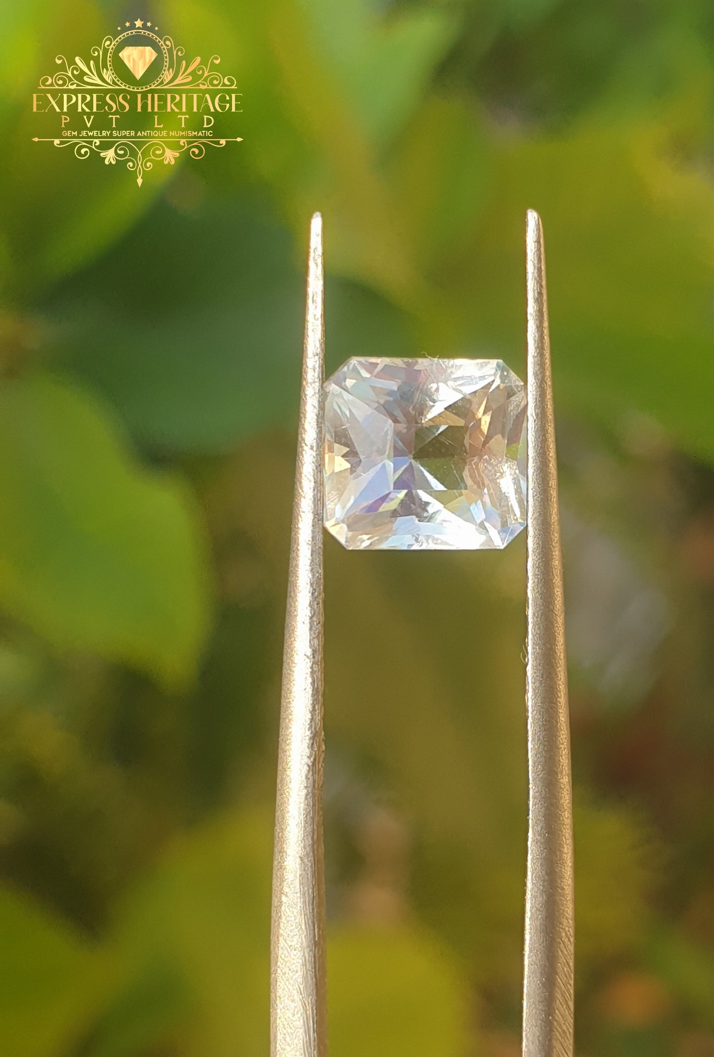 Rear Rainbow Moonstone Multicolor 1.440 ct