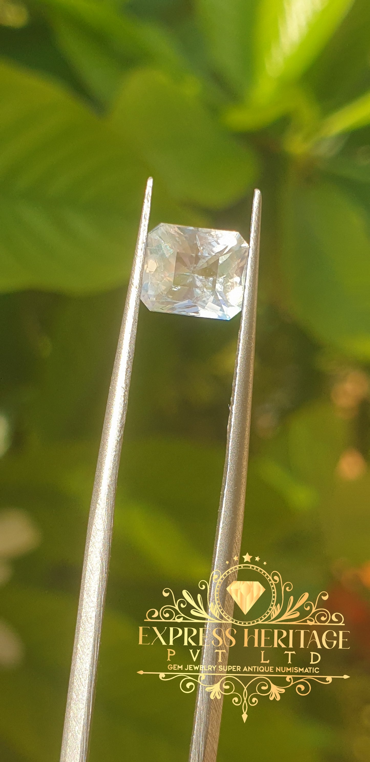 Rear Rainbow Moonstone 1.375 ct