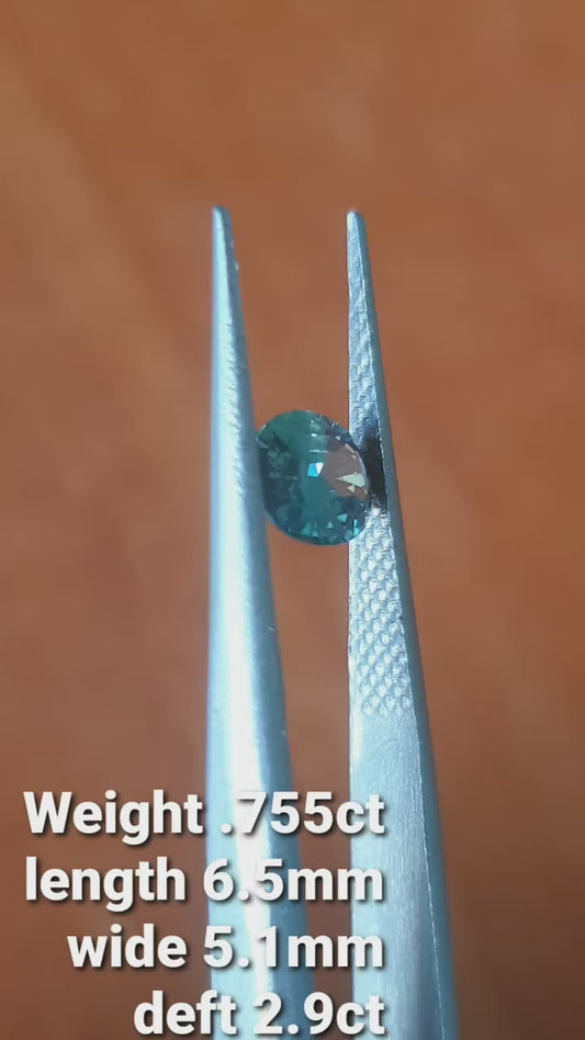 Tel Sapphir .755ct EH1049