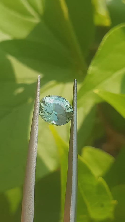 Tel Sapphir 1.445ct