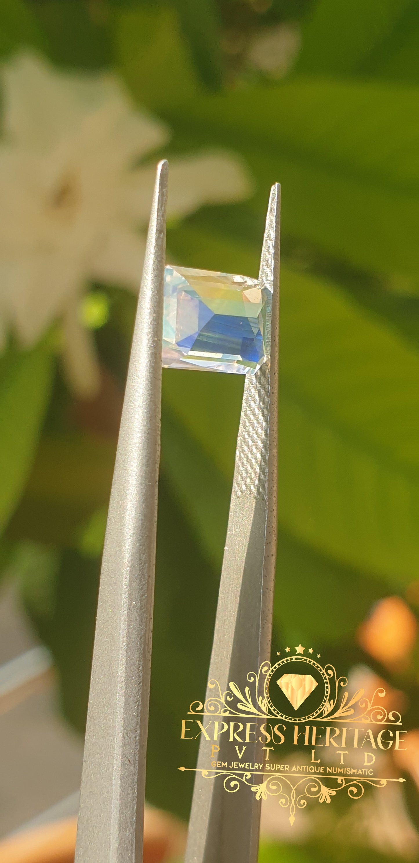 Rear Rainbow Moonstone 🌈 Multicolor Glowing