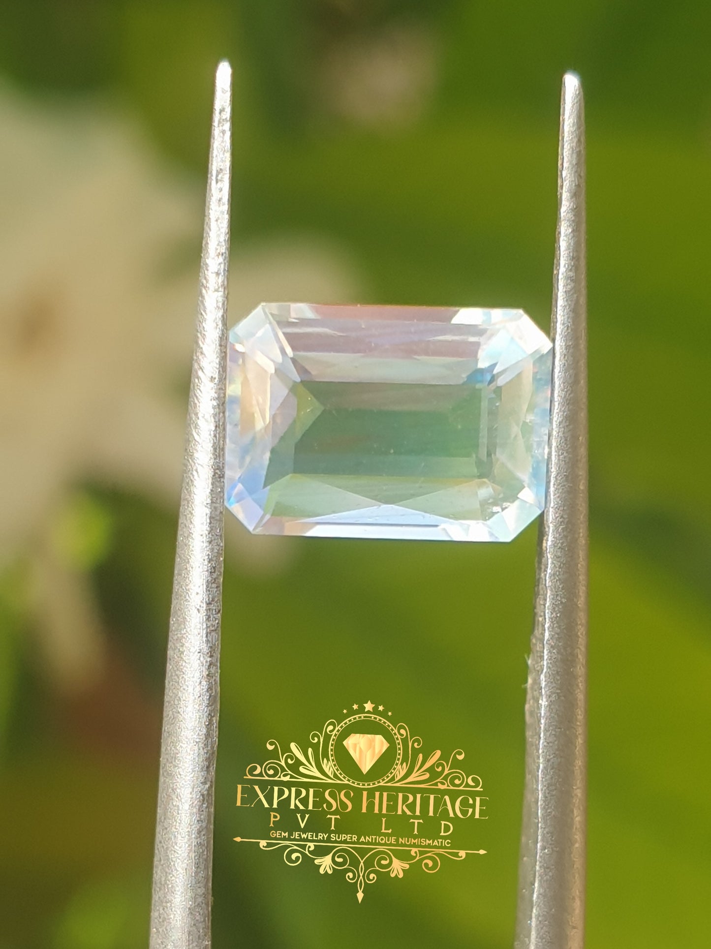 Rear Rainbow Moonstone 🌈 Multicolor Glowing