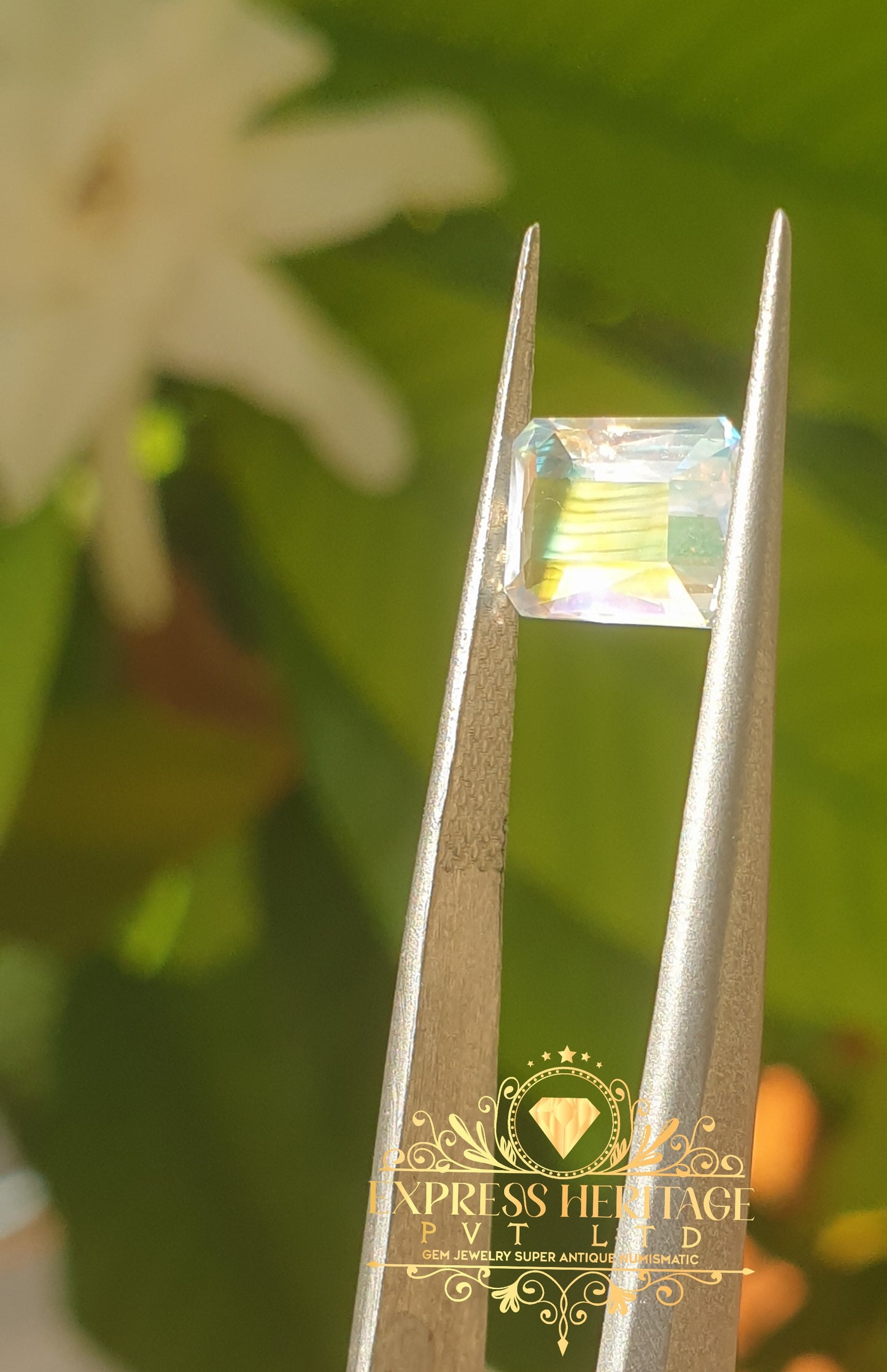 Rear Rainbow Moonstone 🌈 Multicolor Glowing